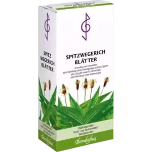 Spitzwegerichblätter