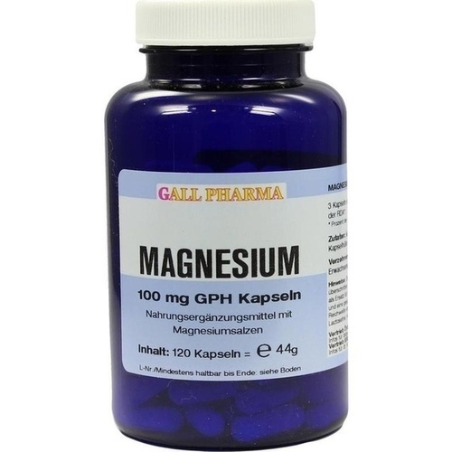 MAGNESIUM 100 mg Kapseln 120 St  