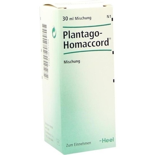 PLANTAGO HOMACCORD Tropfen* 30 ml