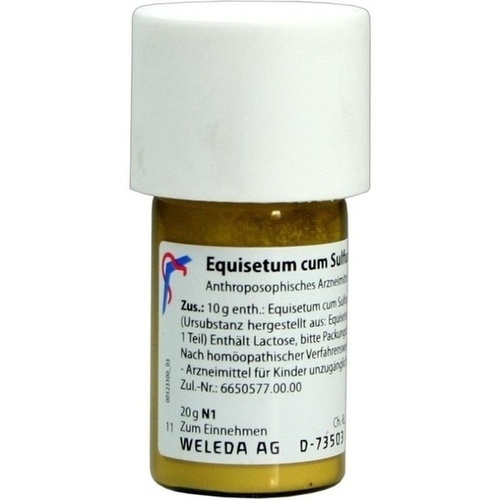 EQUISETUM CUM Sulfure tostum D 6 Trituration