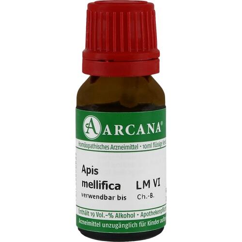 APIS MELLIFICA LM 6 Dilution* 10 ml
