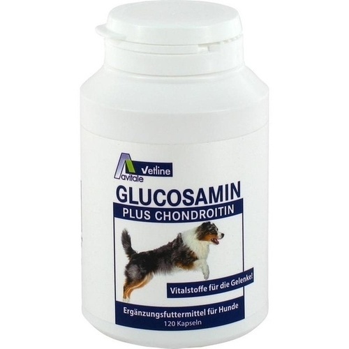 GLUCOSAMIN+CHONDROITIN Kapseln für Hunde St - besamex