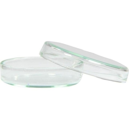 PETRISCHALE 6 cm, 1 St günstig bei FliegendePillen.de