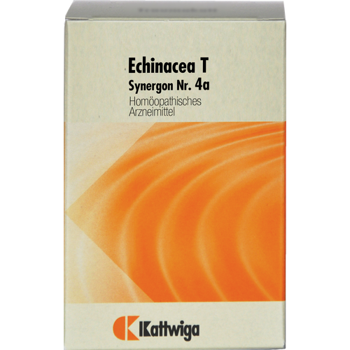 SYNERGON KOMPLEX 4a Echinacea T Tabletten