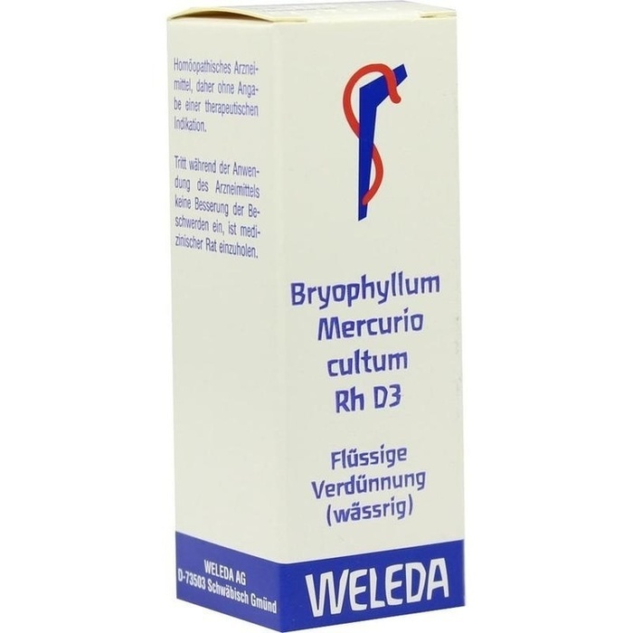 BRYOPHYLLUM MERCURIO cultum Rh D 3 Dilution