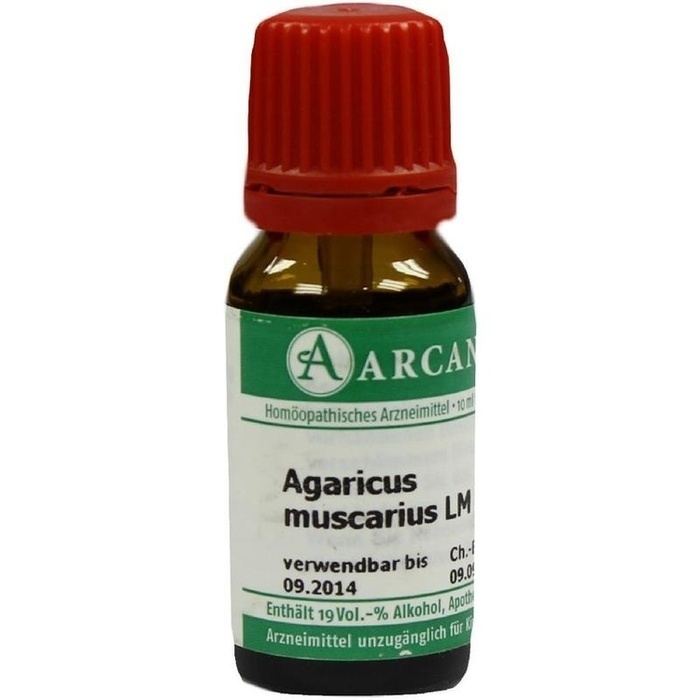 AGARICUS MUSCARIUS LM 18 Dilution