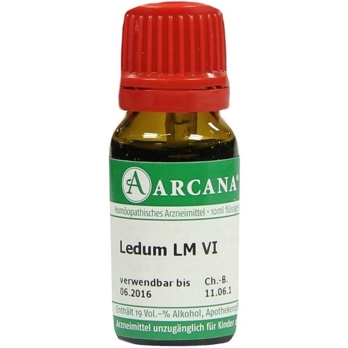 LEDUM LM 6 Dilution