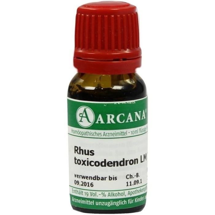 RHUS TOXICODENDRON LM 12 Dilution