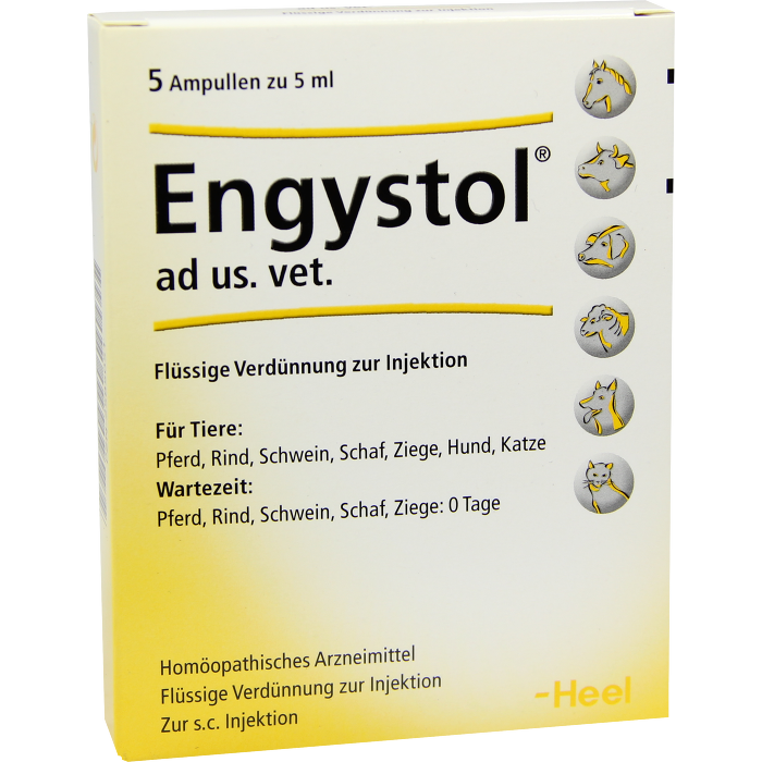 ENGYSTOL ad us.vet.Ampullen