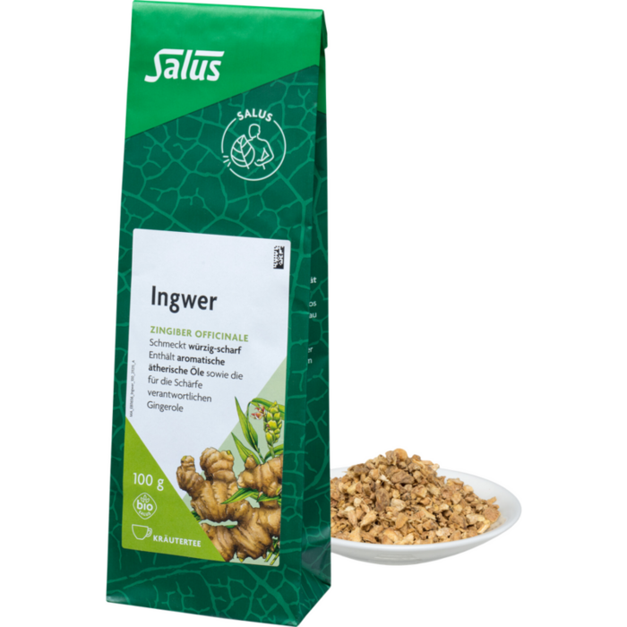 INGWER GEWÜRZTEE Zingiber officinale Bio Salus