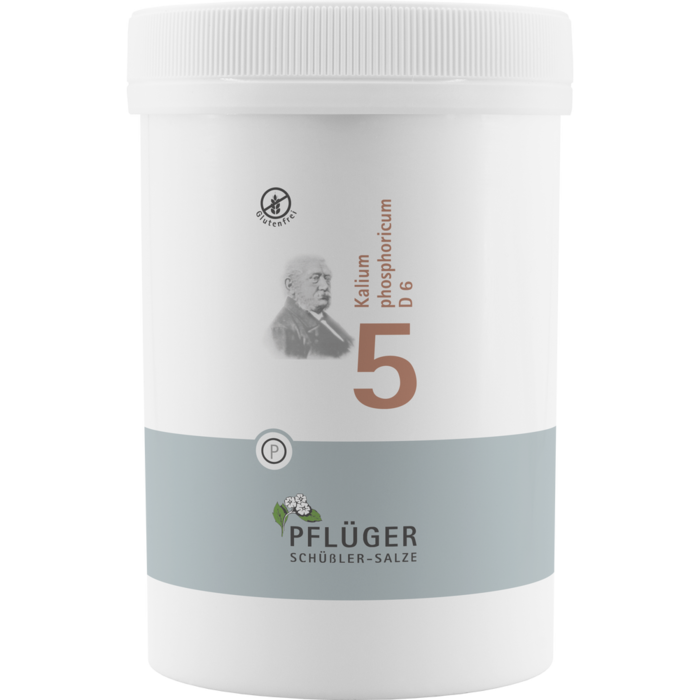 BIOCHEMIE Pflüger 5 Kalium phosphoricum D 6 Tabl.