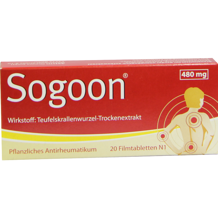 SOGOON 480 mg Filmtabletten