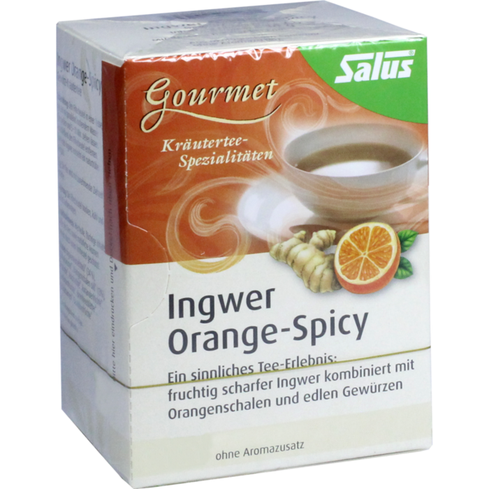 INGWER ORANGE Spicy Tee Salus Filterbeutel